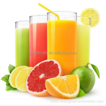 automatic stainless steel juice extractor making machine